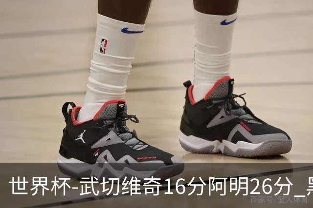 世界杯-武切维奇16分阿明26分 黑山大胜埃及